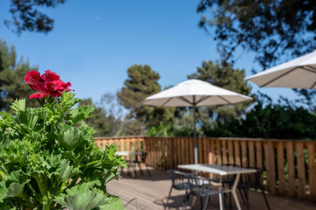 Kibbutz Malkiya Travel Hotel Malkiyya Esterno foto